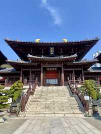 🌺🌼如世外桃源般的「志蓮淨苑」🪷🤩
