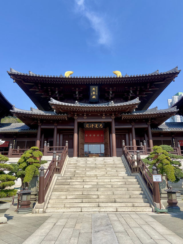 🌺🌼如世外桃源般的「志蓮淨苑」🪷🤩