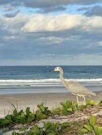 Byron Bay: Where the Sun Meets the Sea
