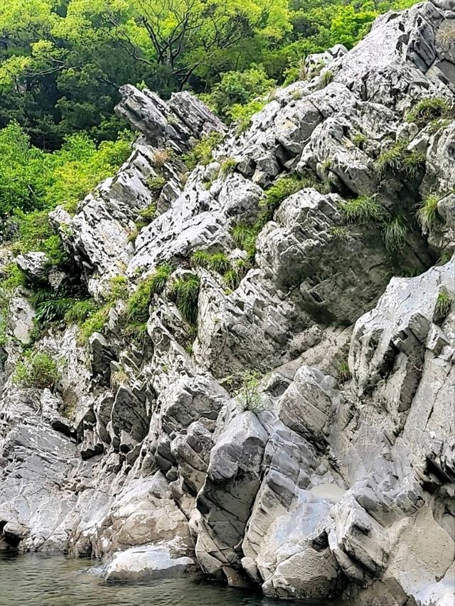 【徳島観光スポットは渦潮だけでない！】