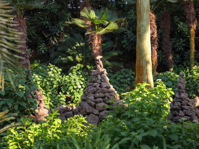 쥬라기월드에 온 것 같은 이국적인 제주 상가리 야자숲🌴