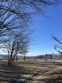 【佐久市🇯🇵】貯水池に集まる鳥が見える公園🕊️