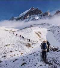  Annapurna Base camp Trek / 2024-2025