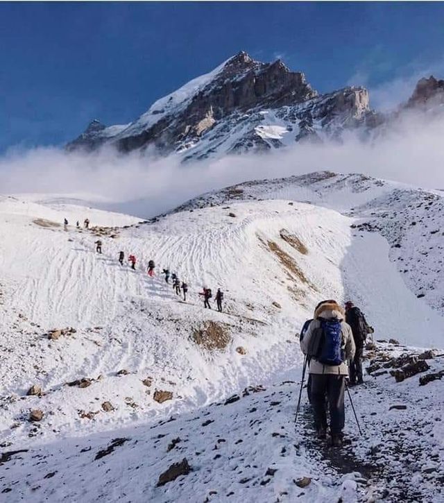  Annapurna Base camp Trek / 2024-2025