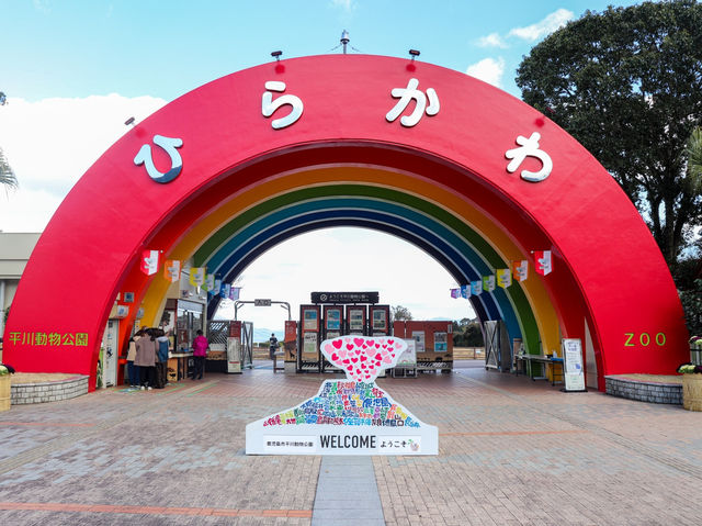 【鹿児島県】 コアラ飼育頭数日本一の自然あふれる動物園『平川動物公園』🐨