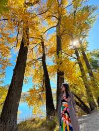 Autumn Beauty, Adventures in New Zealand 