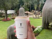 ดอยตุง คาเฟ่
