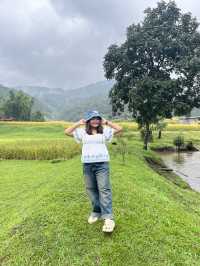 หมู่บ้านแม่กลางหลวง