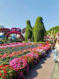 Dubai Miracle Garden
