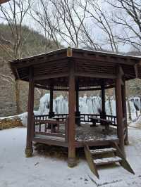눈맞으며 힐링하기 좋은 대전여행지❄️