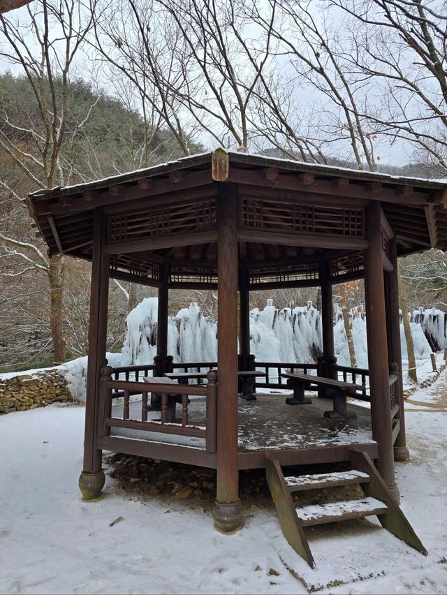 눈맞으며 힐링하기 좋은 대전여행지❄️