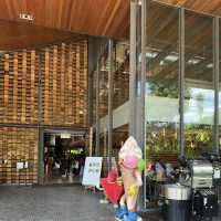 Chocolate Wonderland: A Sweet Escape at Beryl’s!
