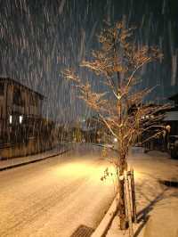 Nagasaki เดือนนี้หิมะตกหนักมากกก