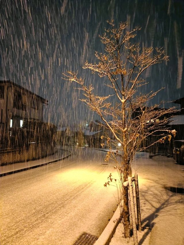 Nagasaki เดือนนี้หิมะตกหนักมากกก