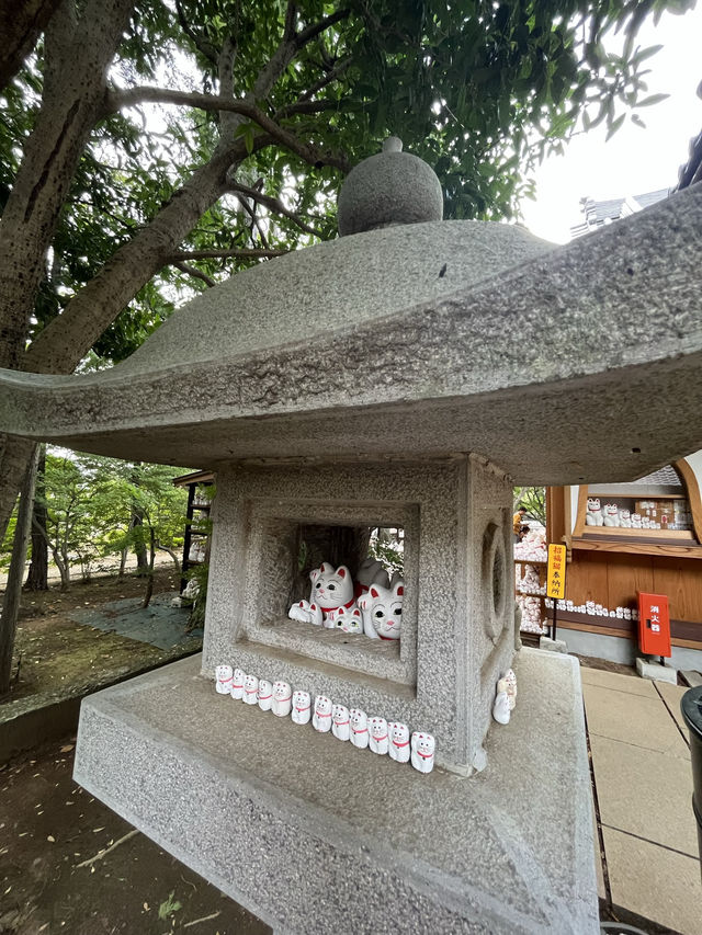 貓奴必去打卡點-豪德寺