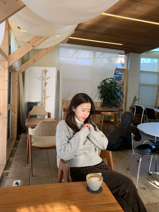 ソチョン🇰🇷cafe☕️