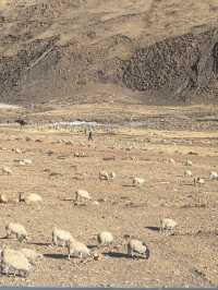 Discover Tibet on 318 China National Highway 