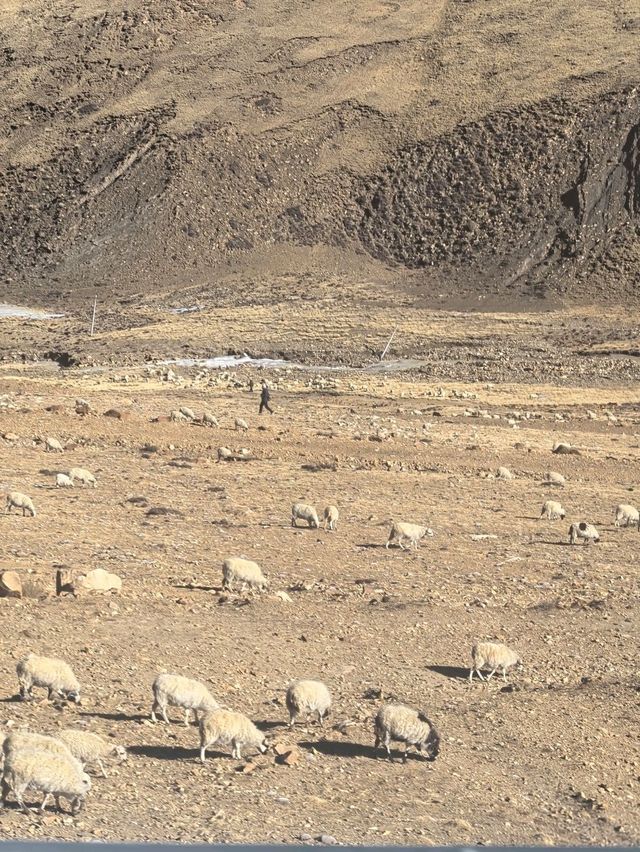 Discover Tibet on 318 China National Highway 