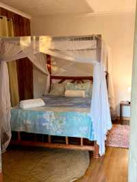 🌴 Awesome Stay in Zanzibar – A Tropical Paradise! 🏝️✨
