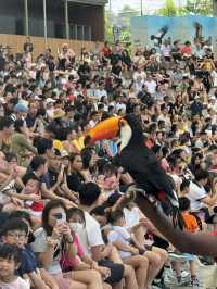 Bird Paradise Singapore: A Must-Visit for Nature & Wildlife Lovers