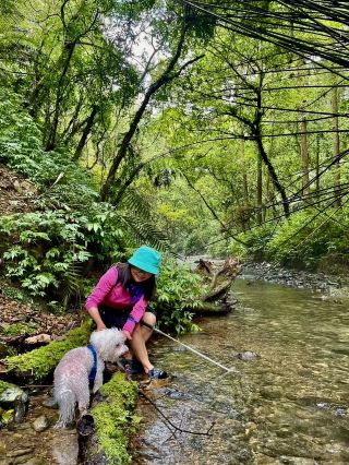 A Family-Friendly Ancient Trail with Stream Tracing Fun - Pingxi Ancient Trail