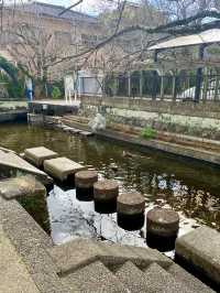 碧テラス〜ニュー八景園〜熱海梅園