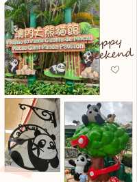 快來澳門公園免費睇熊貓