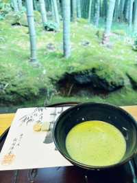 【神奈川県　鎌倉市の禅寺　報国寺で美しい苔の庭と竹林を歩みお抹茶を一服】 