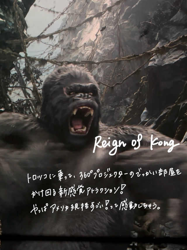 🌎フロリダのユニバが異次元だった‼️