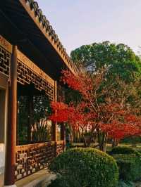 NanshanGu Temple: A Flourishing Ancient Sanctuary