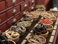 越南古傳醫學博物館 Bảo tàng Y học Cổ truyền Việt Nam