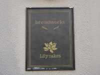 Sweet Escape in Shinagawa: Lily Cakes 🍰🍓