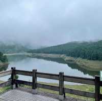 天母古道親山步道 | 清新綠野的悠然