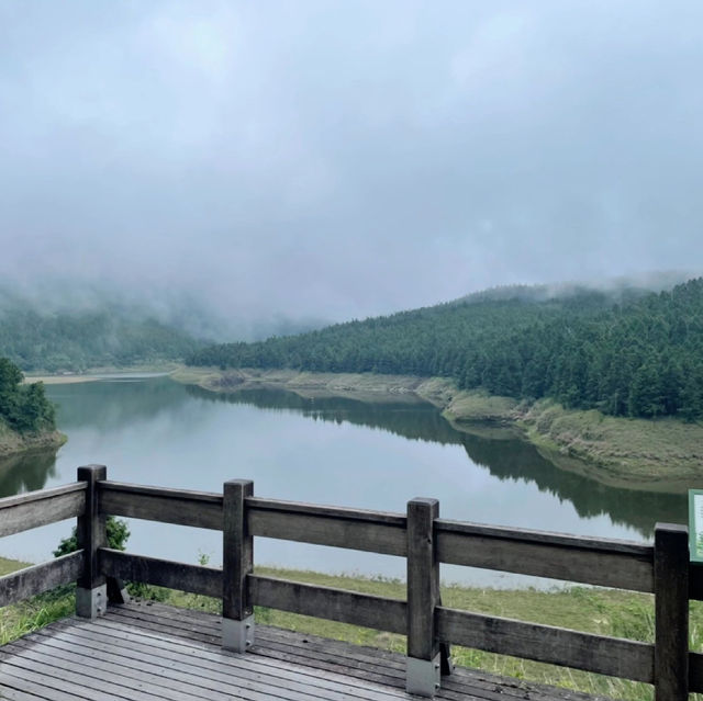 天母古道親山步道 | 清新綠野的悠然