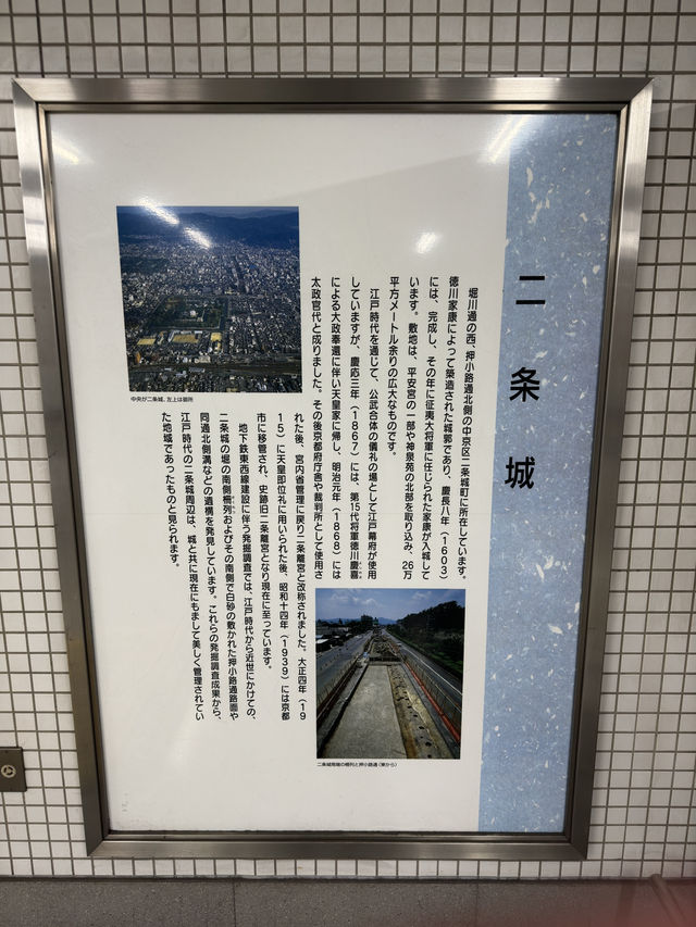 京都二條城的櫻花盛宴🌸✨