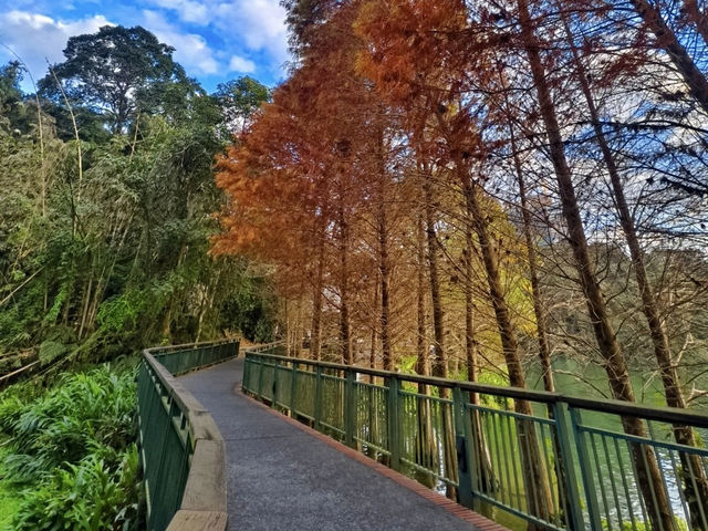 日月潭養生樂活二日遊