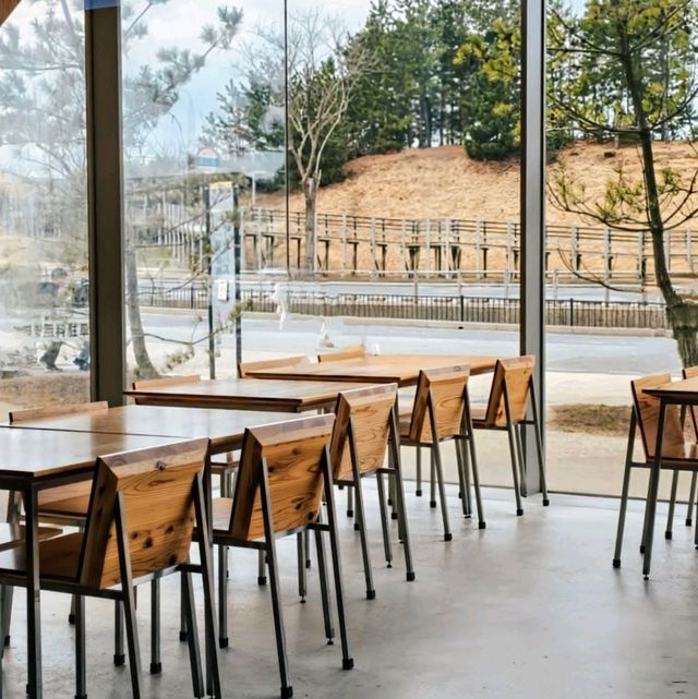 Takahama Café 打卡「隈研吾」操刀設計-鳥取砂丘咖啡