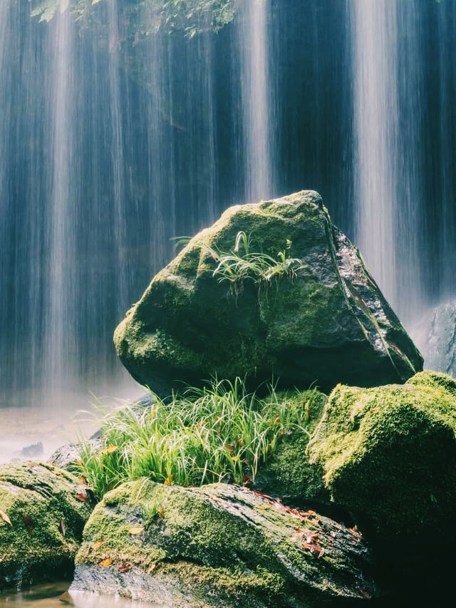 まるで異世界！裏側から眺める絶景🌳