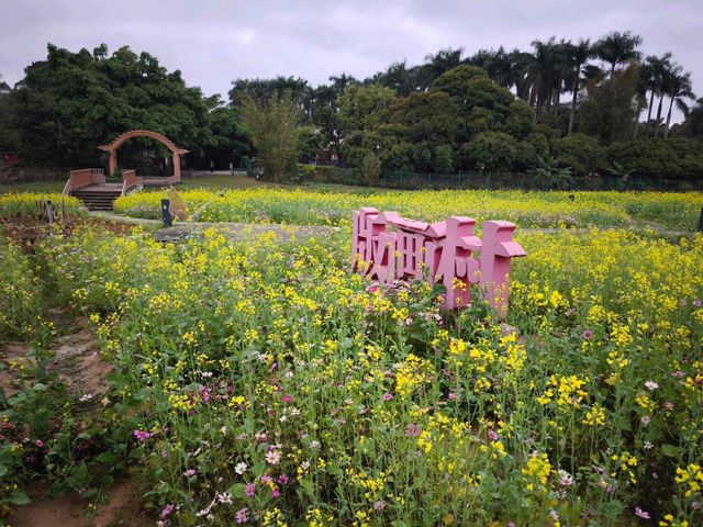 花海