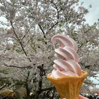 鶴舞公園🌸櫻花之味