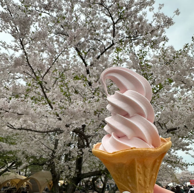 鶴舞公園🌸櫻花之味