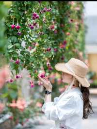 1年中満開のお花が楽しめる🌺 『ベゴニアガーデン』