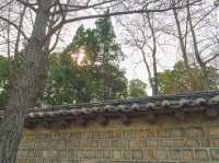 🌳봄꽃구경하며 나들이&데이트 하기 좋은 서울 창경궁🌸