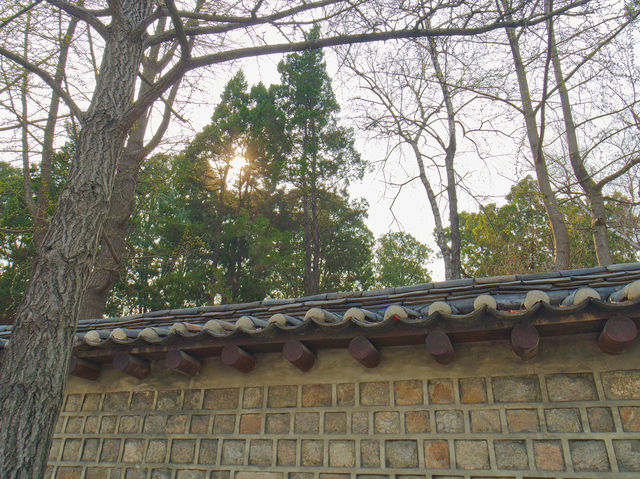 🌳봄꽃구경하며 나들이&데이트 하기 좋은 서울 창경궁🌸