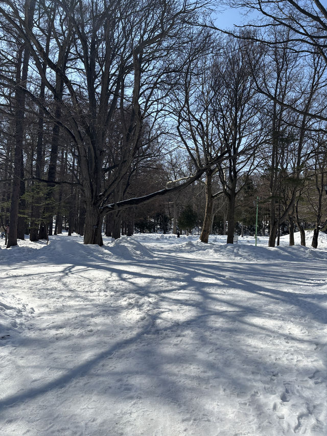 1 Day Trip ในเมืองซัปโปโรไปที่ไหนได้บ้าง❄️