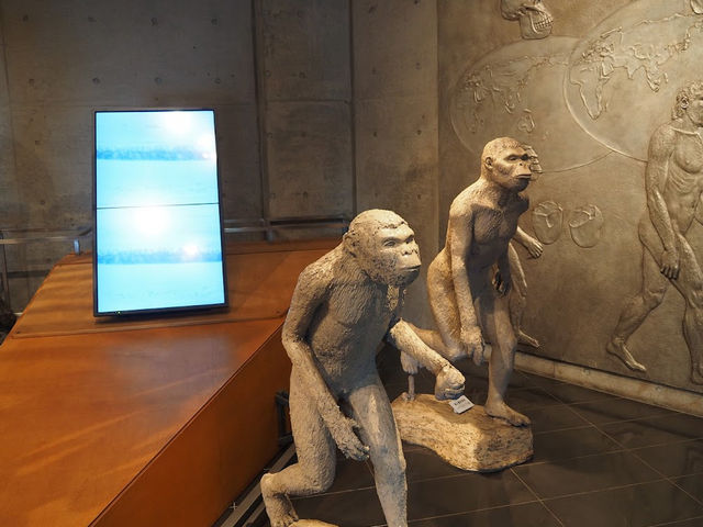 ガラガラで見やすい🤍【みどり市岩宿博物館】
