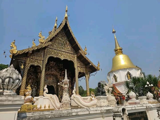 วัดป่าดาราภิรมย์ มาเชียงใหม่ไม่ควรพลาด