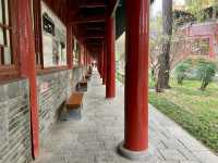 西安碑林博物館✨歷史文化交匯點🏛️✨