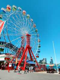 Sydney’s Iconic Voyage