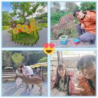 斑比山丘⛰️小鹿斑比的Wonderland🦌